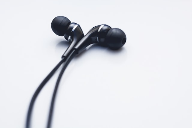 In-Ear Earphones with Microphone
